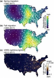 Cornell Lab of Ornithology: Study Names Top Cities Emitting Light that Endangers Migratory Birds