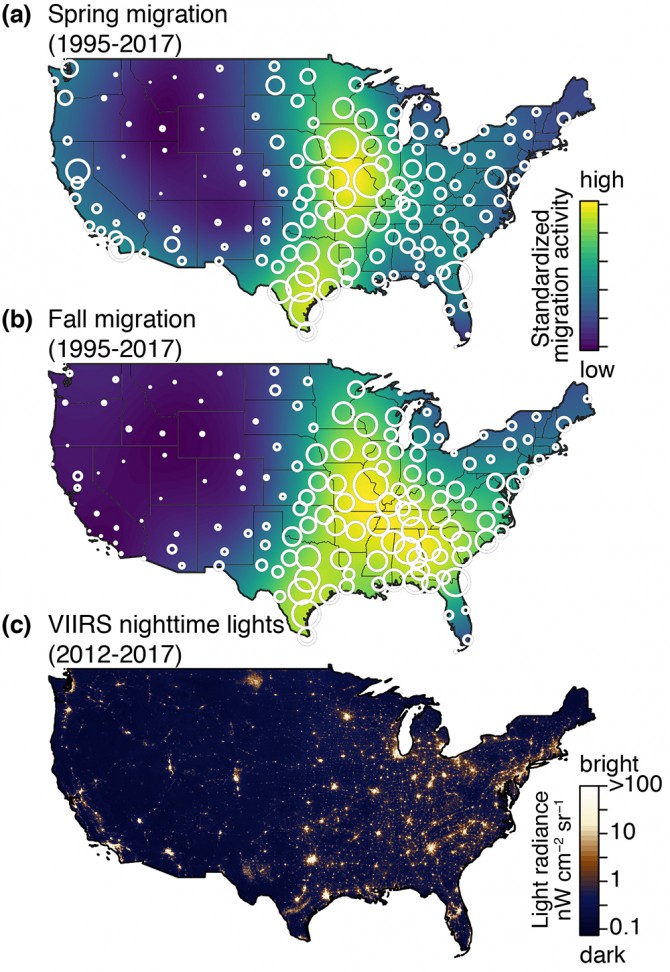 Cornell Lab of Ornithology: Study Names Top Cities Emitting Light that Endangers Migratory Birds