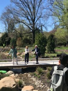 Cherry Tree Blooms Greet New Water Conservation Project at Brooklyn Botanic Garden