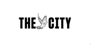 NYC stepping up to prevent collisions, a top cause of bird deaths in urban areas