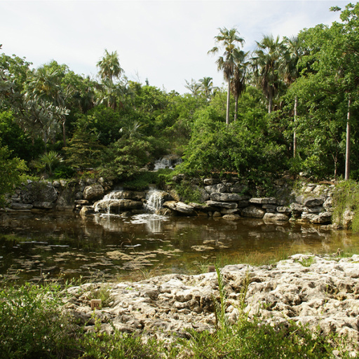 Raymond Jungles, Designer of Leon Levy Native Plant Preserve in Eleuthera, Receives 2021 National Design Award of Honor from the American Society of Landscape Architects (ASLA)