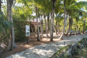 Leon Levy Native Plant Preserve, historic national park managed by the Bahamas National Trust on the island of Eleuthera, celebrates 10-year anniversary!