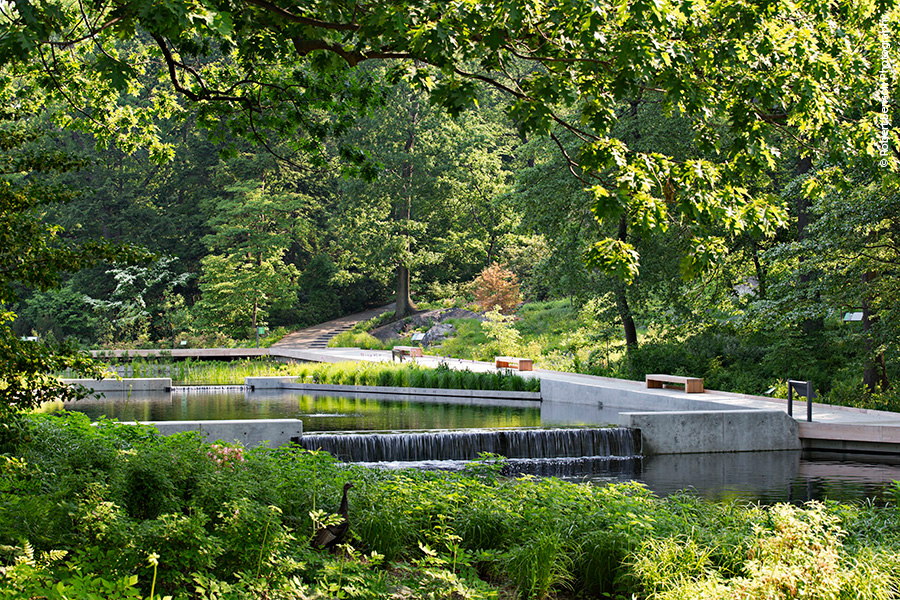 New York Botanical Garden