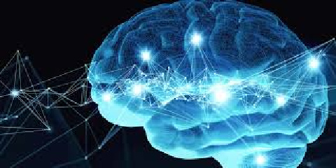 New York Academy of Sciences and Leon Levy Foundation Name First 10 Leon Levy Scholars in Neuroscience