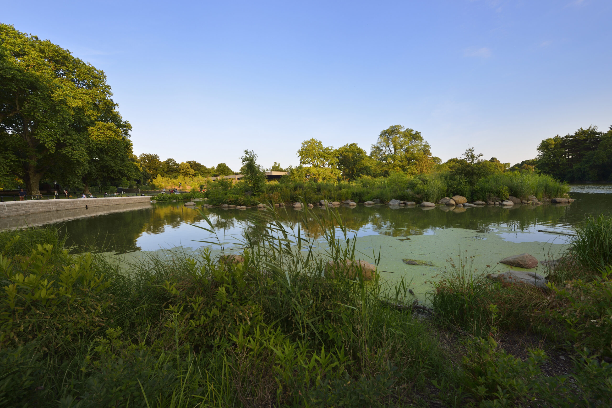 Prospect Park Alliance