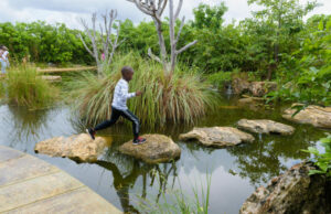 World Landscape Architecture highlights the Leon Levy Native Plant Preserve on Governor’s Harbour, Bahamas
