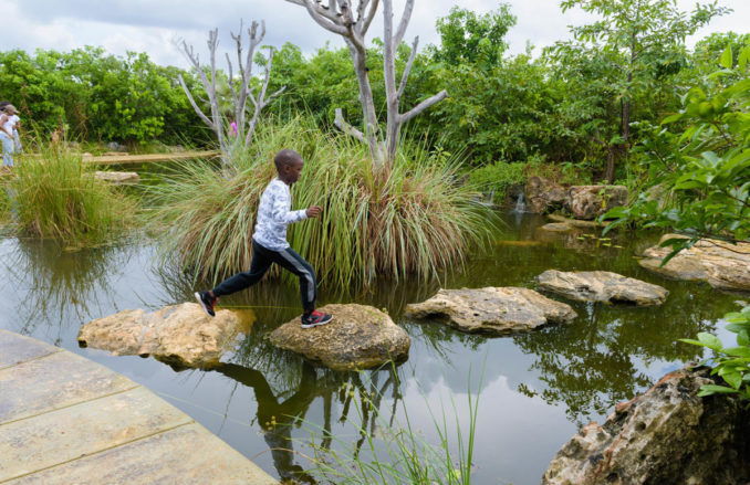 World Landscape Architecture highlights the Leon Levy Native Plant Preserve on Governor’s Harbour, Bahamas