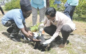 BNT launches 50/50 tree planting campaign to plant 50 trees for the 50th anniversary of the Independence of The Bahamas