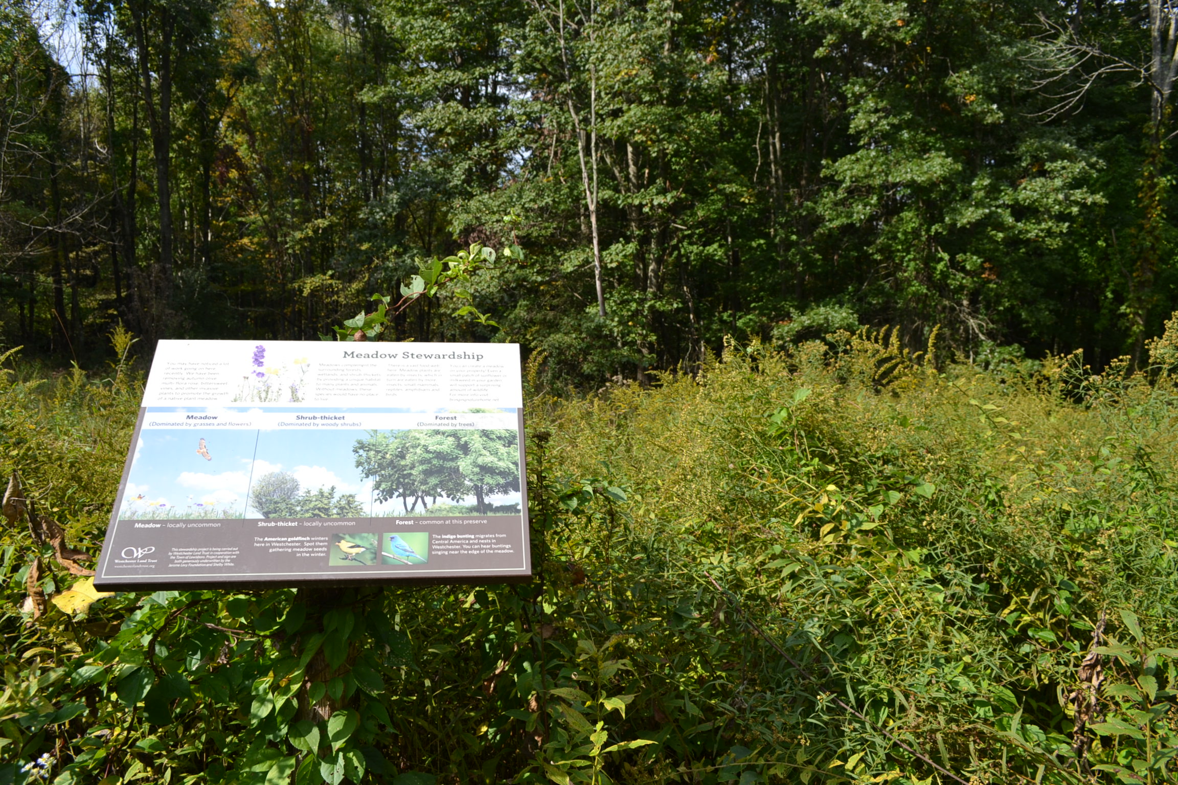 Leon Levy Preserve